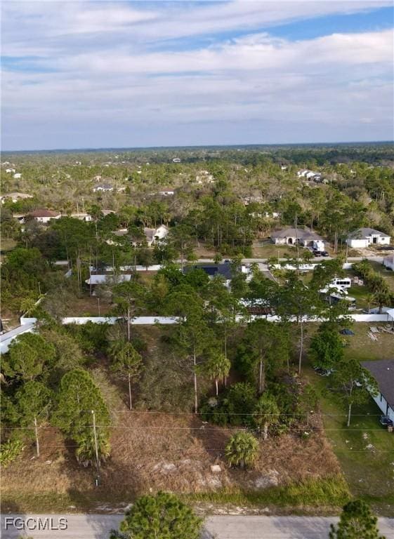 810 Clayton Ave, Lehigh Acres, FL 33972 - photo 2