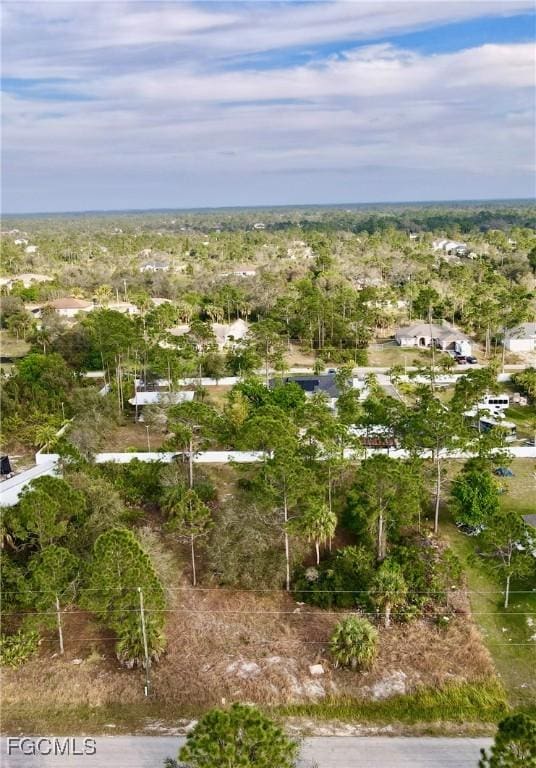 810 Clayton Ave, Lehigh Acres, FL 33972 - photo 1
