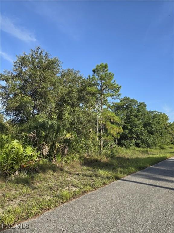 1304 Irving Ave, Lehigh Acres, FL 33972 - photo 2