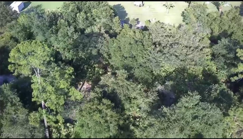 1304 Irving Ave, Lehigh Acres, FL 33972 - photo 3