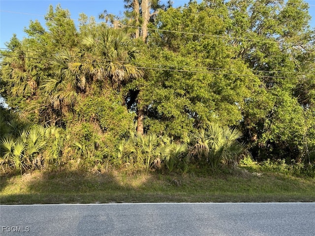 1492 Birchcrest Blvd, Port Charlotte, FL 33952 - photo 1