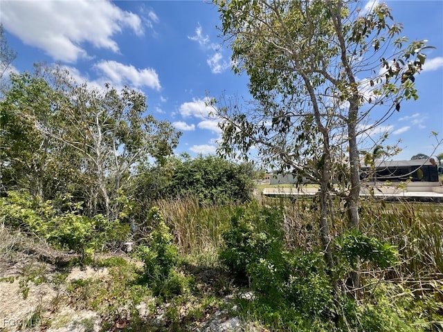 1031 NW 20th Pl, Cape Coral, FL 33993 - photo 1