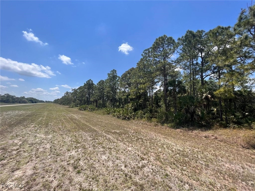 320JAMESIRWINTER, Labelle, FL 33935 - photo 1
