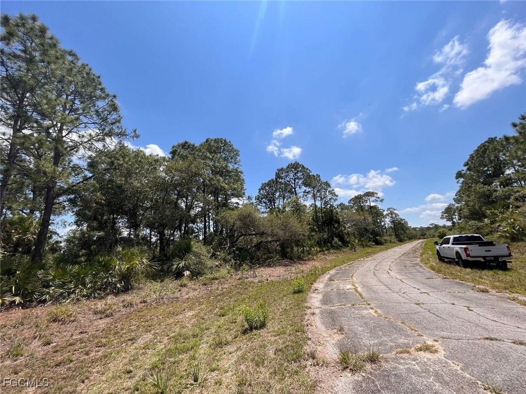 320JAMESIRWINTER, Labelle, FL 33935 - photo 3