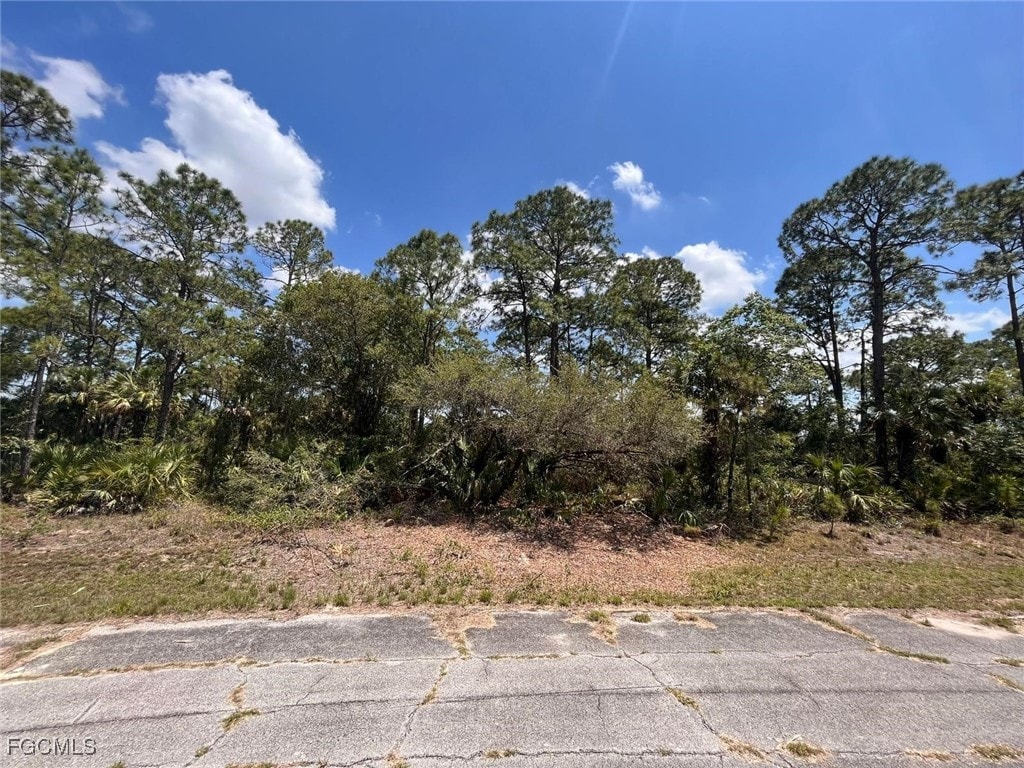 320JAMESIRWINTER, Labelle, FL 33935 - photo 4