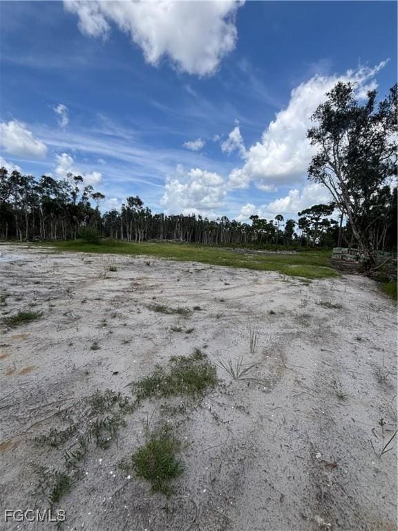 2421 Old Burnt Store Rd N, Cape Coral, FL 33993 - photo 2