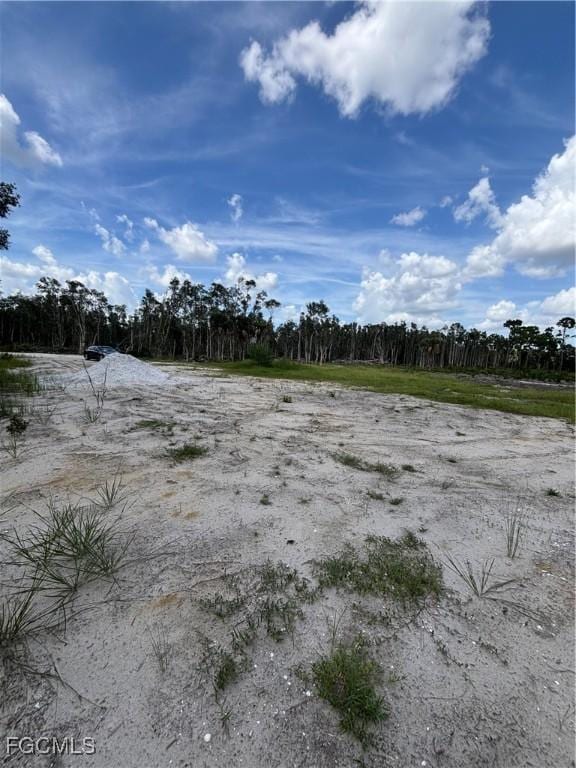 2421 Old Burnt Store Rd N, Cape Coral, FL 33993 - photo 3