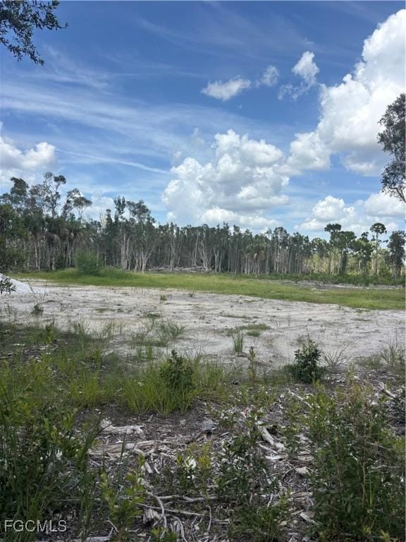 2421 Old Burnt Store Rd N, Cape Coral, FL 33993 - photo 4