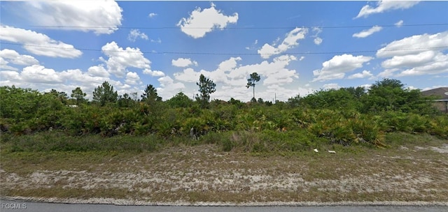 713 Manuel St E, Lehigh Acres, FL 33974 - photo 2
