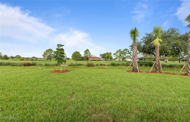 17012 Bishop Blvd, Alva, FL 33920 - photo 39