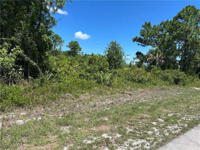 528 Brue Ave E, Lehigh Acres, FL 33974 - photo 6