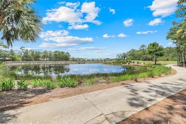 8488 Radcliffe Ter Unit 102, Naples, FL 34120 - photo 30