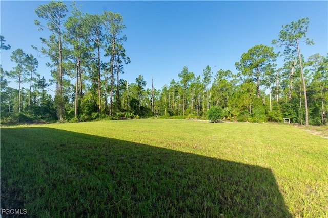 1213 Wellington Ave, Lehigh Acres, FL 33972 - photo 32