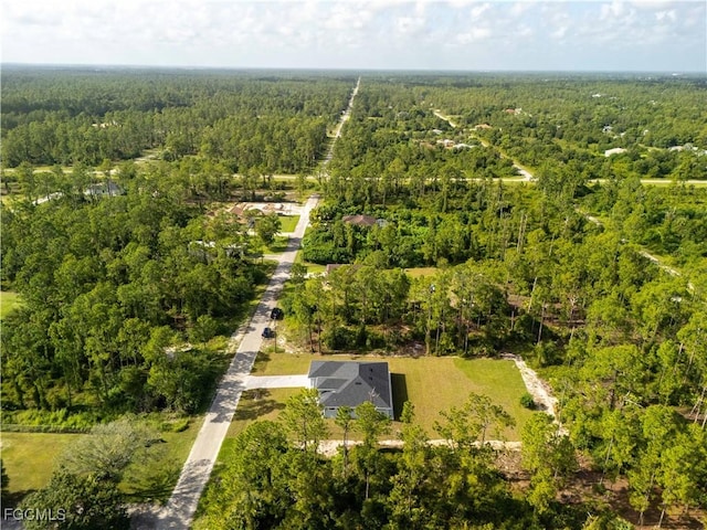 1213 Wellington Ave, Lehigh Acres, FL 33972 - photo 35