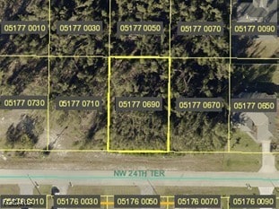 4235 NW 24th Ter, Cape Coral, FL 33993 - photo 1