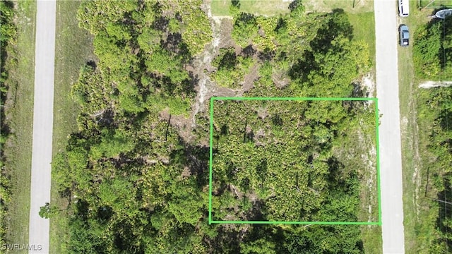1138 Corry St E, Lehigh Acres, FL 33974 - photo 3