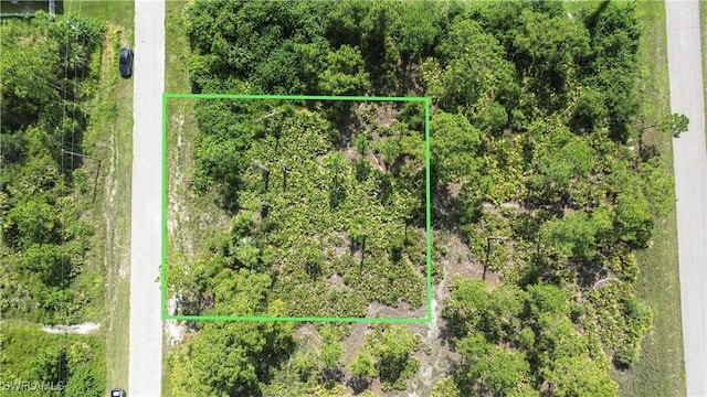1138 Corry St E, Lehigh Acres, FL 33974 - photo 4