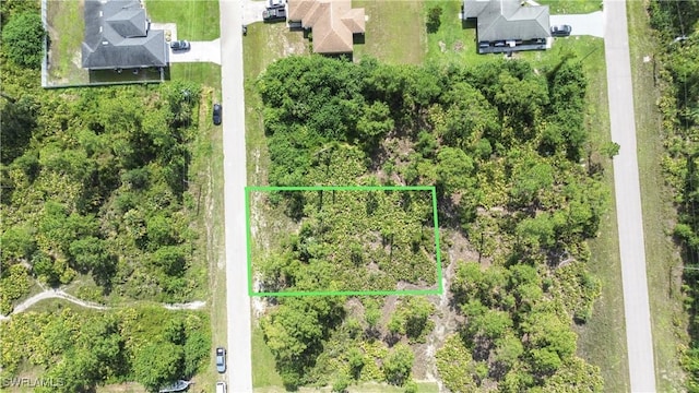 1138 Corry St E, Lehigh Acres, FL 33974 - photo 5