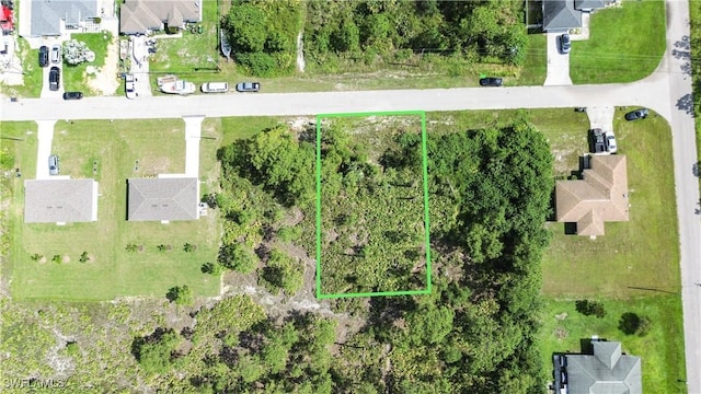 1138 Corry St E, Lehigh Acres, FL 33974 - photo 6
