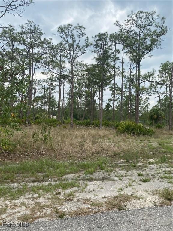 7700 Wheeler Rd, Labelle, FL 33935 - photo 1