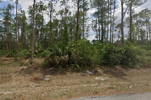 3000 E 22nd St, Alva, FL 33920 - photo 4