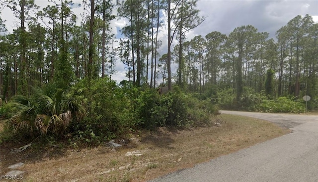 3000 E 22nd St, Alva, FL 33920 - photo 5