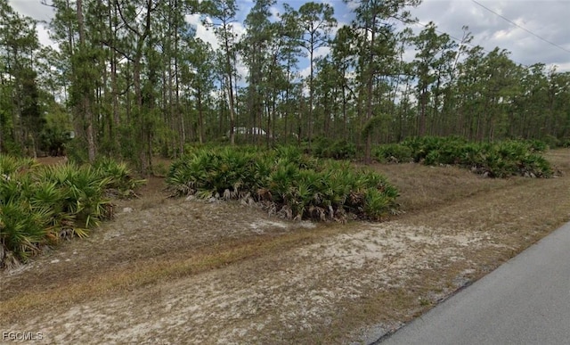2210 Columbus Ave, Alva, FL 33920 - photo 4