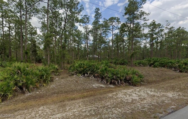2210 Columbus Ave, Alva, FL 33920 - photo 5