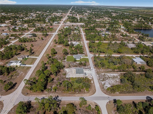 1028 Maxwell Ave S, Lehigh Acres, FL 33974 - photo 49