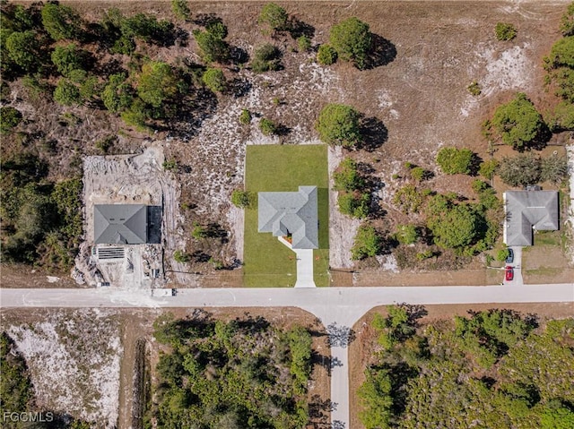 1028 Maxwell Ave S, Lehigh Acres, FL 33974 - photo 48