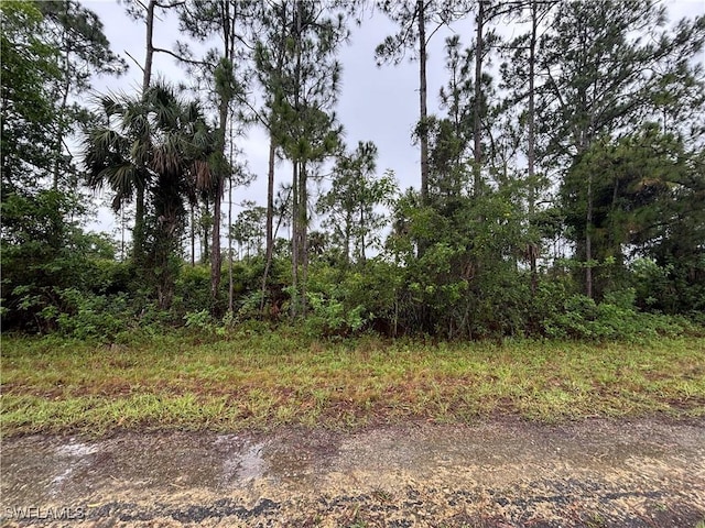 1602 Loraine Ave S, Lehigh Acres, FL 33976 - photo 1