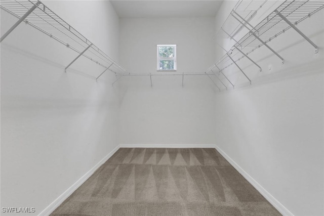 21547 Baccarat Ln Unit 204, Estero, FL 33928 - photo 22