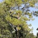 12th Ave SE, Naples, FL 34117 - photo 1