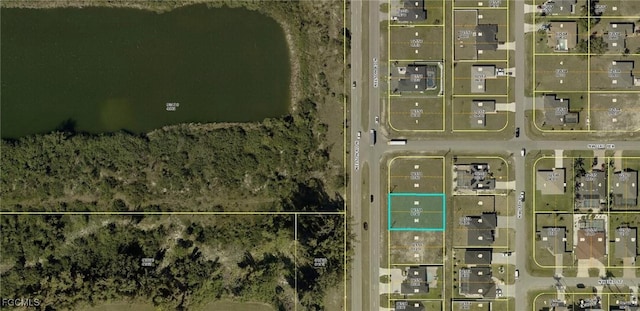 307 Nelson Rd N, Cape Coral, FL 33993 - photo 1