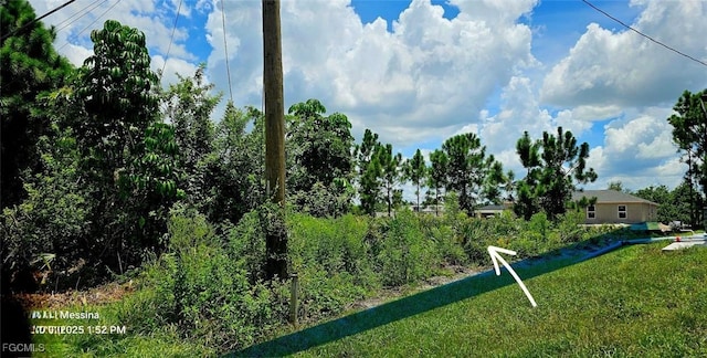 2617 11th St SW, Lehigh Acres, FL 33976 - photo 3