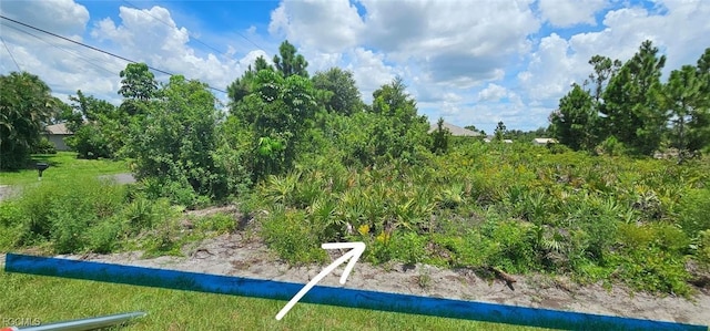 2617 11th St SW, Lehigh Acres, FL 33976 - photo 5