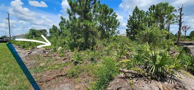 2617 11th St SW, Lehigh Acres, FL 33976 - photo 7