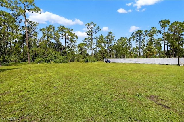 713 Canton Ave, Lehigh Acres, FL 33972 - photo 29