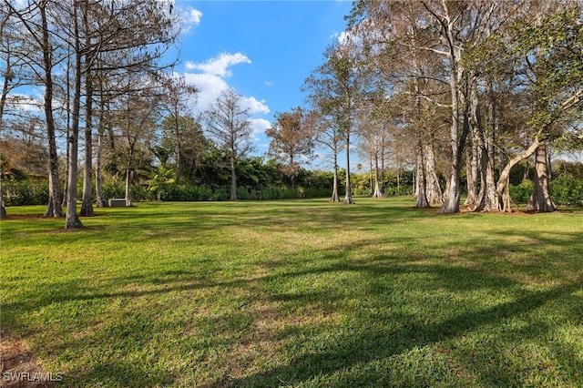 5271 Cherry Wood Dr, Naples, FL 34119 - photo 34