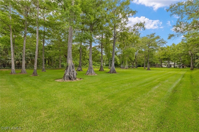 5271 Cherry Wood Dr, Naples, FL 34119 - photo 45