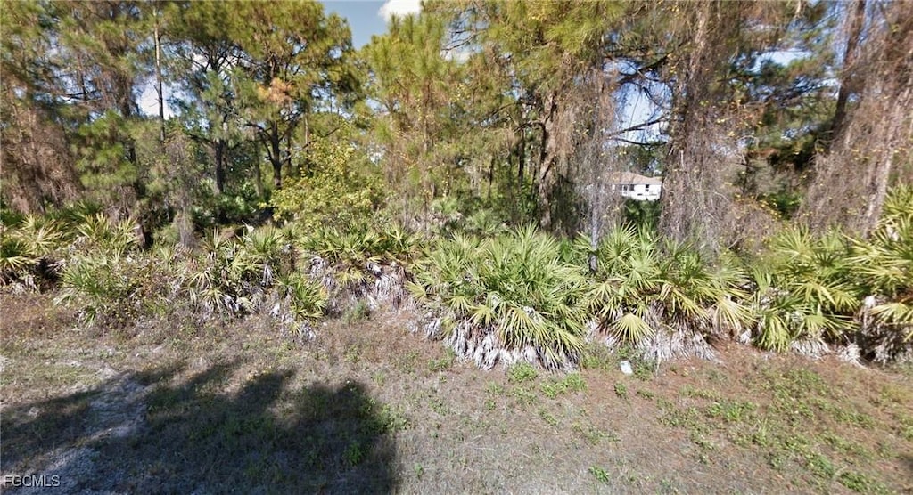 1147 Crocus St, Lehigh Acres, FL 33974 - photo 3