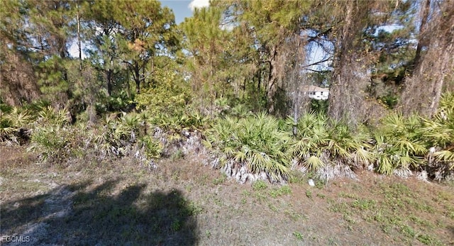 1147 Crocus St, Lehigh Acres, FL 33974 - photo 3