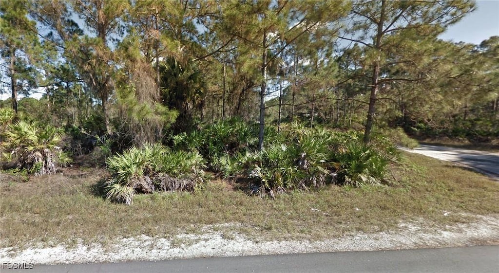 1147 Crocus St, Lehigh Acres, FL 33974 - photo 4