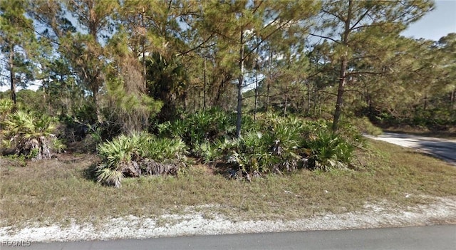 1147 Crocus St, Lehigh Acres, FL 33974 - photo 4