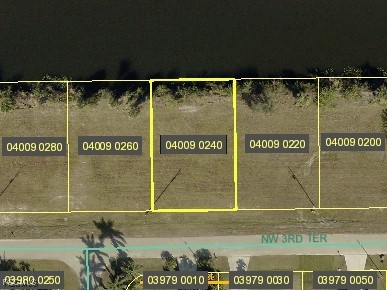 2831 NW 3rd Ter, Cape Coral, FL 33993 - photo 1