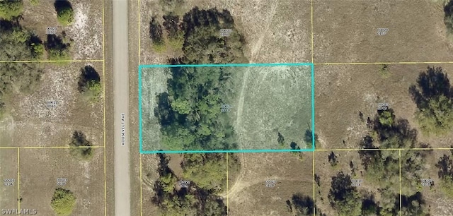 1702 Roosevelt Ave, Lehigh Acres FL, 33972 land for sale