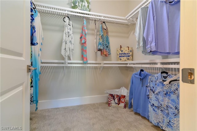 walk in closet featuring light carpet