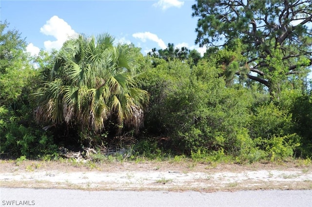 4244 E 24th St, Alva FL, 33920 land for sale