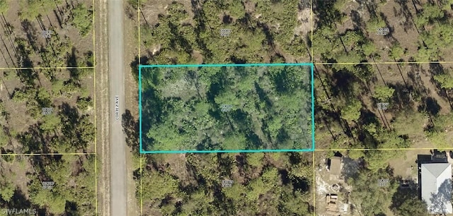 1610 Cortez Ave, Lehigh Acres FL, 33972 land for sale