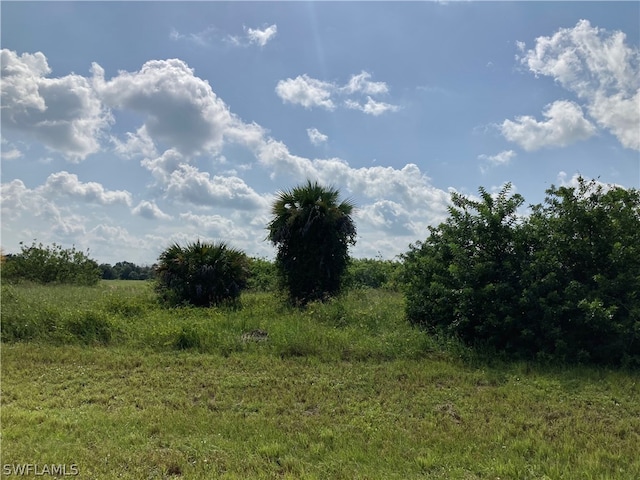 3049 E Briarwood Cir, Labelle FL, 33935 land for sale